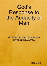 bokomslag God's Response to the Audacity of Man