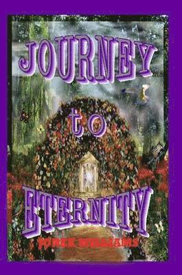 Joree Williams - Journey to Eternity, Häftad