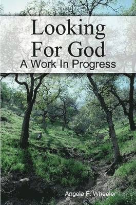 Angela Wheeler - Looking For God, Häftad