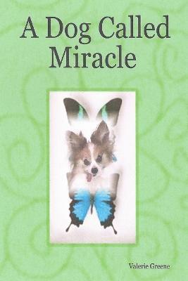 bokomslag Dog Called Miracle