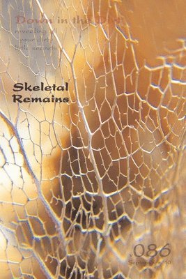 Skeletal Remains (Down in the Dirt v086) 1