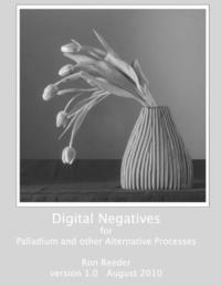 bokomslag Digital Negatives for Palladium and Other Alternative Processes