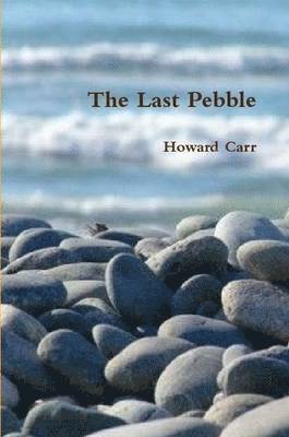 bokomslag The Last Pebble