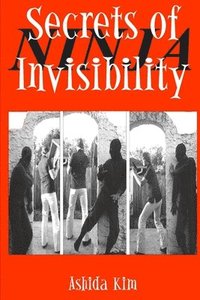 bokomslag Secrets of Invisibility