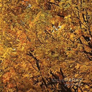 bokomslag Leslie Parke Paintings