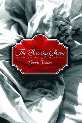 bokomslag Brewing Storm