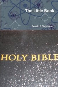 bokomslag Little Book