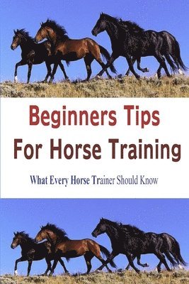 Beginners Tips for Horse Training 1