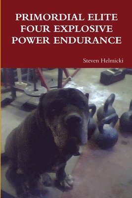 Steven Helmicki - Primordial Elite Four Explosive Power Endurance, Häftad