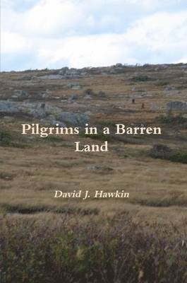 bokomslag Pilgrims in a Barren Land