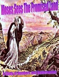 bokomslag &quot;Moses Sees the Promised Land&quot; A Study of Numbers and Deuteronomy