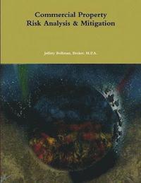bokomslag Commercial Property Risk Analysis & Mitigation
