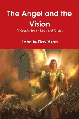bokomslag Angel and the Vision
