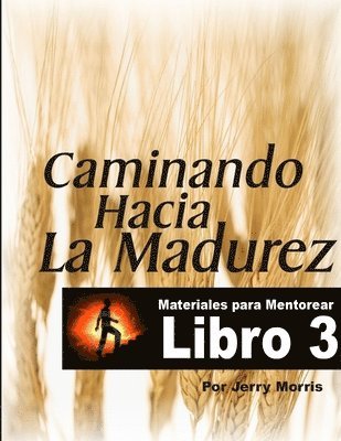 bokomslag Caminando Hacia La Madurez - Libro 3