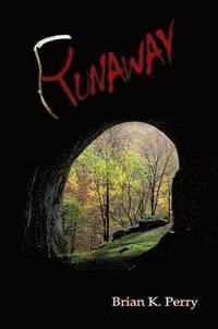 bokomslag Runaway