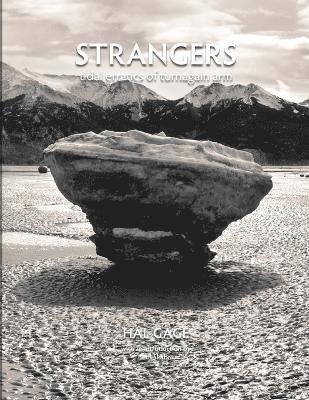Hal Gage - Strangers: Tidal Erratics of Turnagain Arm, Häftad