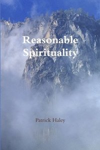 bokomslag Reasonable Spirituality