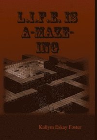 bokomslag L.I.F.E. Is A-Maze-Ing 2