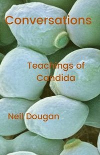 bokomslag Conversations - Teachings of the Candida