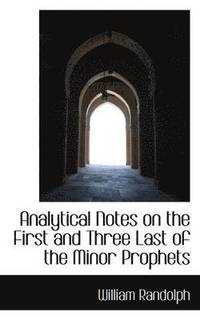 bokomslag Analytical Notes on the First and Three Last of the Minor Prophets