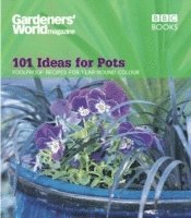 Ceri Thomas - Gardeners' World - 101 Ideas for Pots, Häftad