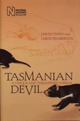 Tasmanian Devil 1