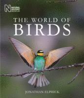 bokomslag The World of Birds