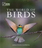 Jonathan Elphick - Elphick, J: The World of Birds, Inbunden