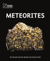 bokomslag Meteorites