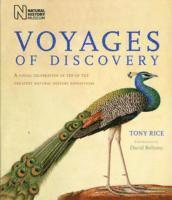 bokomslag Voyages of Discovery