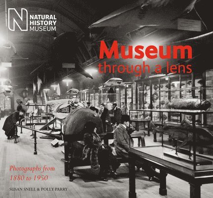 Museum Through a Lens