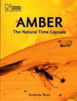 Andrew Ross - Amber, Häftad