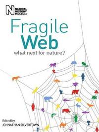 bokomslag Fragile Web
