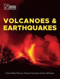 bokomslag Volcanoes & Earthquakes