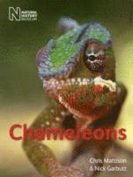 Chris Mattison, Nick Garbutt - Chameleons, Häftad