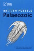 bokomslag British Palaeozoic Fossils