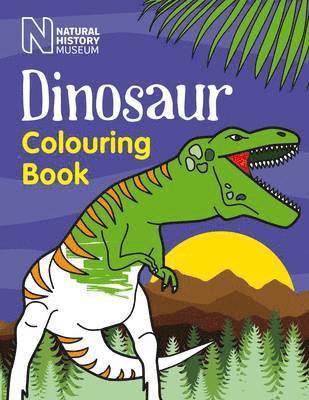 Dinosaur Colouring Book 1