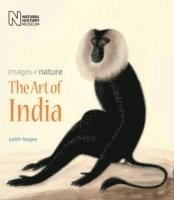 bokomslag The Art of India