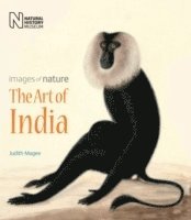 Judith Magee - Art of India, Häftad