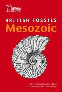 bokomslag British Mesozoic Fossils