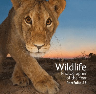 Rosamund Kidman Cox - Wildlife Photographer of the Year: Portfolio 23: Volume 23, Inbunden