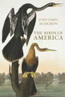 bokomslag The Birds of America