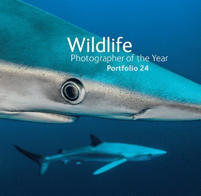 Rosamund Kidman Cox - Wildlife Photographer of the Year: Portfolio 24: Volume 24, Inbunden
