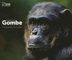 A. Shah, F. Rogers - Tales from Gombe, Inbunden