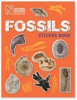 bokomslag Fossils Sticker Book