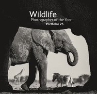 bokomslag Wildlife Photographer of the Year: Portfolio 25