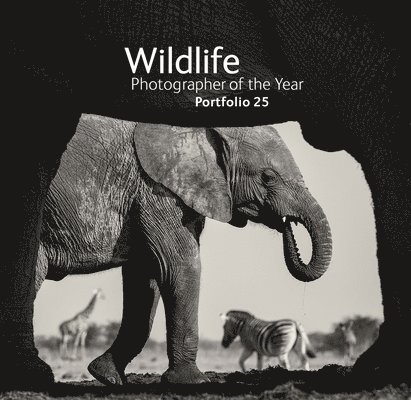 Wildlife Photographer of the Year: Portfolio 25 1