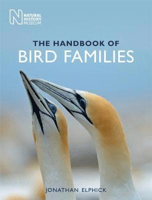 Jonathan Elphick - Handbook of Bird Families, Häftad