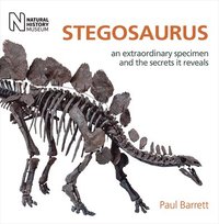 bokomslag Stegosaurus