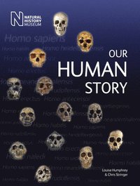 bokomslag Our Human Story